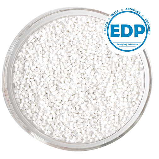 Everyday White Everyday White