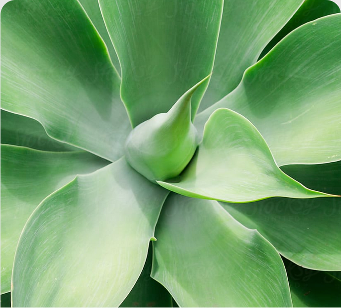 Sustainable Solutions